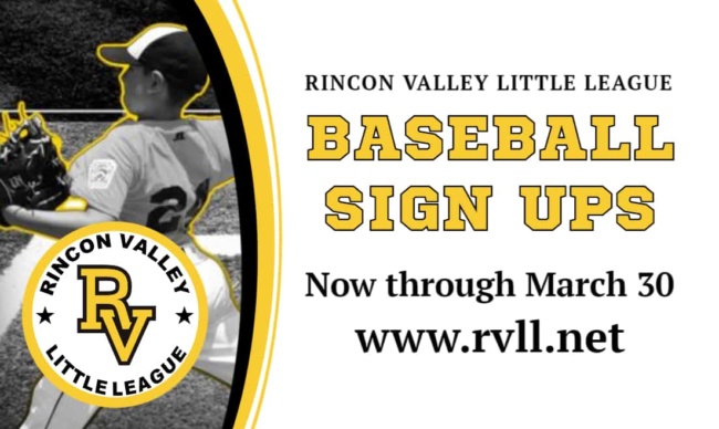 Little League baseball registration banner